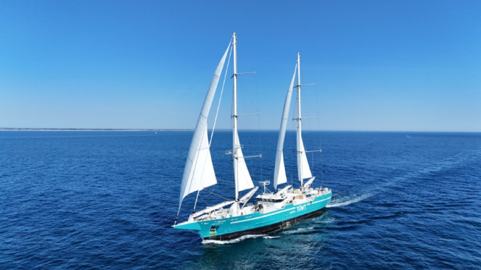  Cargos &agrave; voile: l'offre de reprise de la compagnie fran&ccedil;aise Towt valid&eacute;e 