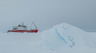 Legendäres Schiff "Endurance" von Polarforscher Shackleton in Antarktis entdeckt