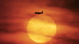 Studie: Wasserstoff-Flugzeuge könnten rund ein Drittel der Flüge CO2-frei machen