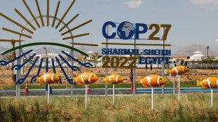 Horas decisivas en la COP27 tras acuerdo sobre un fondo por los da&ntilde;os causados por el clima