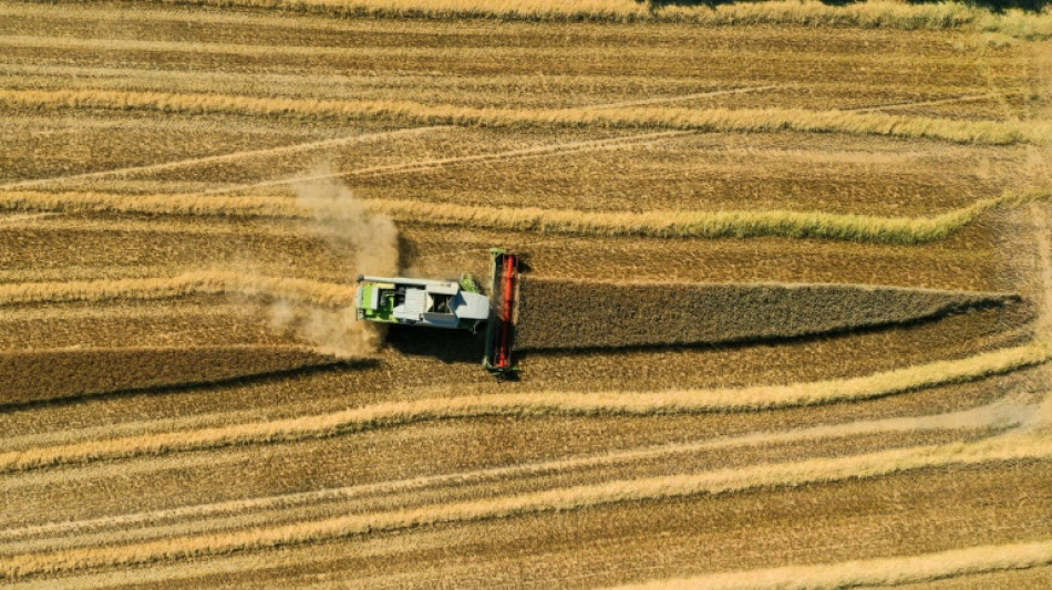 WWF kritisiert EU-Förderungen für "naturschädliche Aktivitäten"