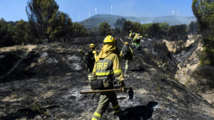 L'odeur des forêts brûlées au Portugal parvient à Madrid