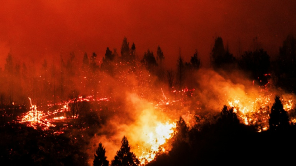  Studie: Zerst&ouml;rung tropischer Regenw&auml;lder 2025 nach Rekordjahr leicht zur&uuml;ckgegangen 