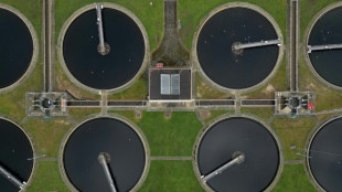 Les compagnies des eaux britanniques &eacute;pingl&eacute;es pour une hausse massive des pollutions