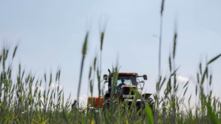 Bayer will Bio-Insektenvernichtungsmittel für Getreide auf den Markt bringen