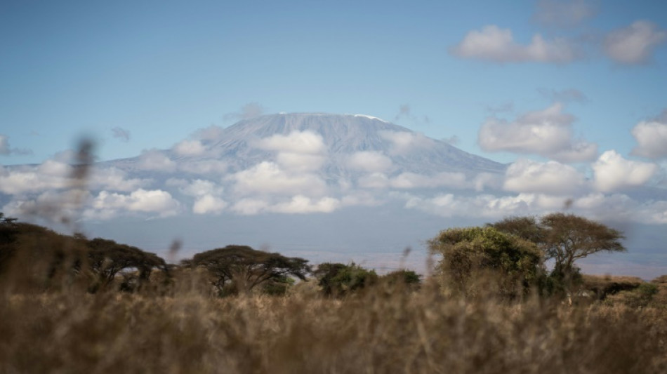 Weitere Brände am Kilimandscharo ausgebrochen