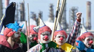 Une soixantaine de militants déguisés en clowns à l'intérieur de la raffinerie TotalEnergies de Donges