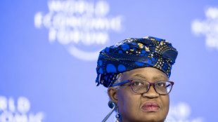 WTO-Chefin warnt vor "katastrophalen" Folge von Strafz&ouml;llen