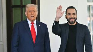Trump et Bukele, main dans la main contre les gangs