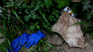 Renuncia la titular de la Comisi&oacute;n Nacional de B&uacute;squeda de Desaparecidos de M&eacute;xico