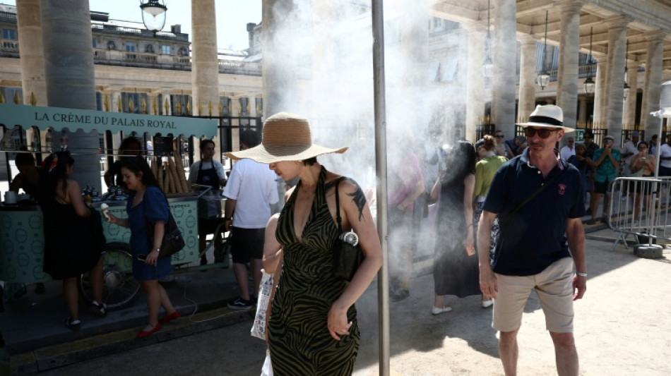  Francia celebra la Fiesta de la M&uacute;sica pese a la ola de calor 