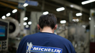 Michelin anuncia el cierre de una f&aacute;brica en EEUU con cerca de 1.200 empleados