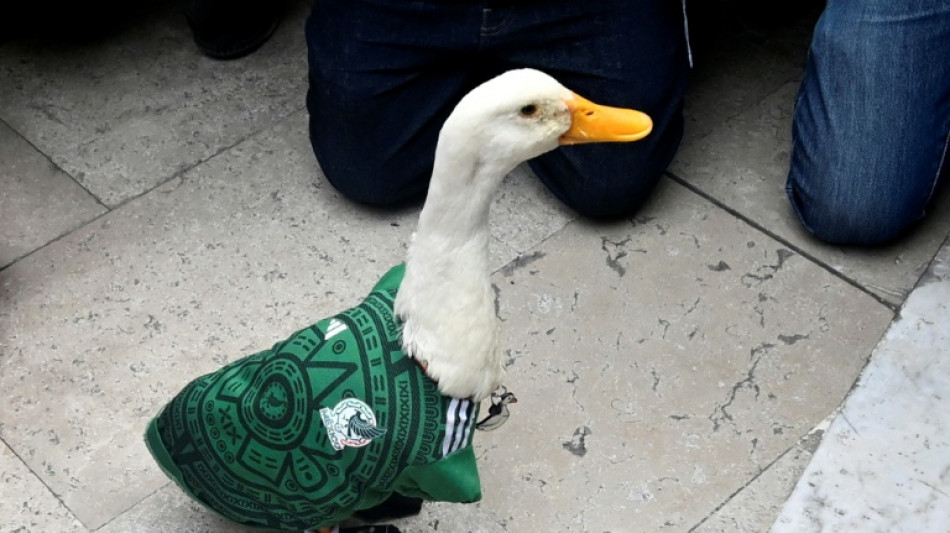  Claudia Sheinbaum recebe pato Merl&iacute;n, mascote do M&eacute;xico na Copa do Mundo 