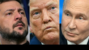 Le Kremlin repousse l'id&eacute;e d'un sommet entre Zelensky, Poutine et Trump