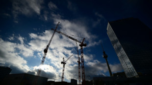 Bauwirtschaft h&auml;lt 2025 leichtes Umsatzplus von bis zu einem Prozent f&uuml;r m&ouml;glich