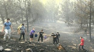 Cientos de evacuados y tráfico marítimo suspendido en los Dardanelos por incendios en Turquía