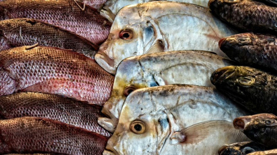 Schwarzarbeit in Fischrestaurant: Paar soll 18.000 Euro Grundsicherung zurückzahlen