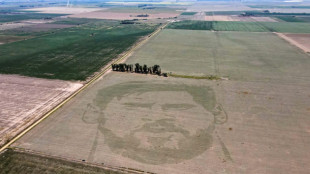 Argentinischer Maisbauer pflanzt riesiges Messi-Porträt