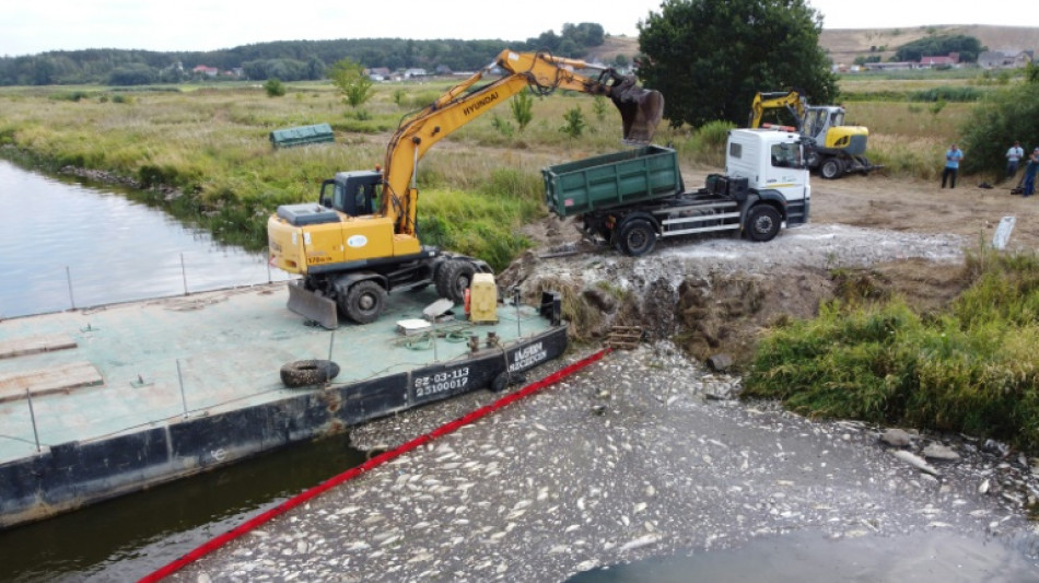 Pollution d'Oder: 100 tonnes de poissons morts rep&ecirc;ch&eacute;s