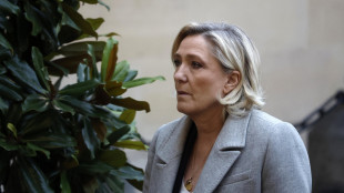 Tribunale, Le Pen colpevole sull'uso di fondi Ue