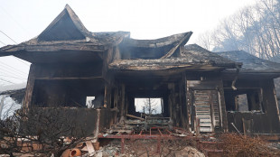 Incendi boschivi in Corea del Sud, 18 morti e 19 feriti