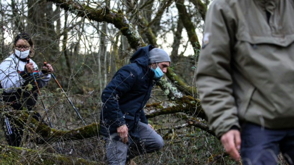 Affaire Jubillar : un témoignage surprise à quelques semaines du procès d'assises