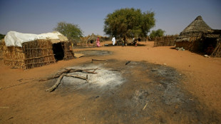 M&aacute;s de 100 muertos en enfrentamientos en la regi&oacute;n de Darfur, en Sud&aacute;n
