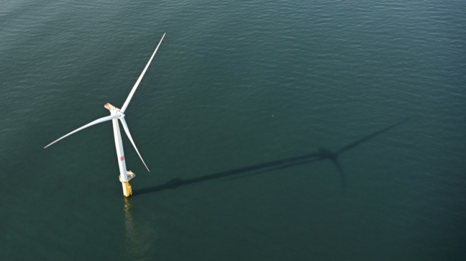  France's 'roadmap' to exit fossil fuels by 2050 