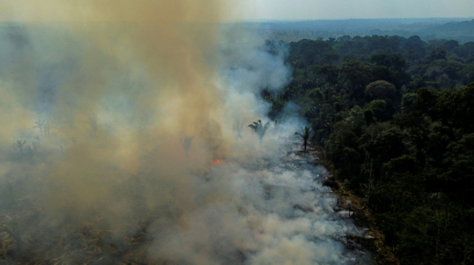  Waldbr&auml;nde im Amazonas-Regenwald 2025 auf tiefstem Stand seit Jahrzehnten 