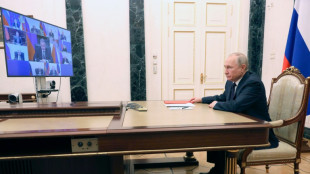 Putin: Entsendung von "freiwilligen" K&auml;mpfern in die Ukraine erleichtern
