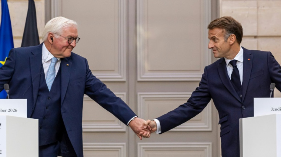  Steinmeier hebt bei Staatsbesuch in Paris deutsches Bekenntnis zu Europa hervor 