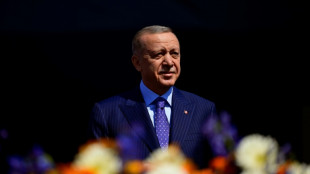 Eau, pétrole, sécurité régionale: le président turc Erdogan arrive à Bagdad