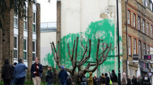 La última obra de Banksy en Londres, protegida tras resultar dañada
