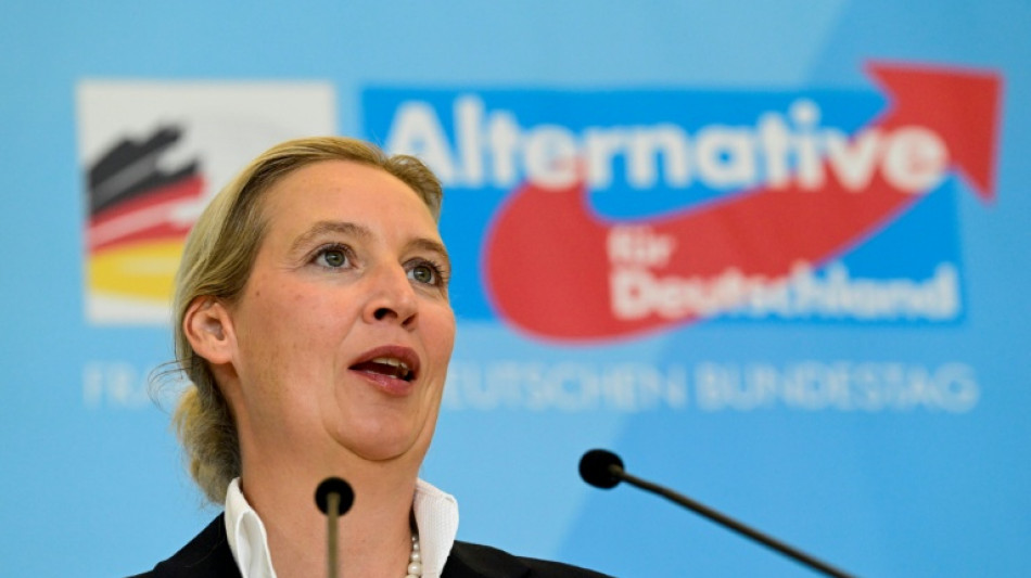  Weidel pocht auf EU-Reform - AfD will Parlament und Kommission entmachten 
