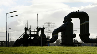 La AIE anticipa una reducción de la demanda europea de gas para este año
