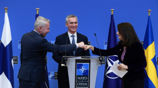 La crisis en Ucrania reaviva el debate de entrar en la OTAN en Suecia y Finlandia