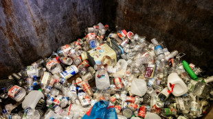 Le recyclage du plastique stagne &agrave; moins de 10% des volumes produits dans le monde, selon une &eacute;tude