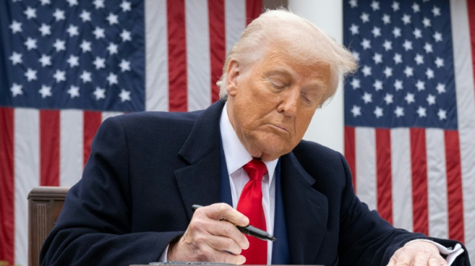 Dollar, stocks sink as gold hits high on Trump tariffs 