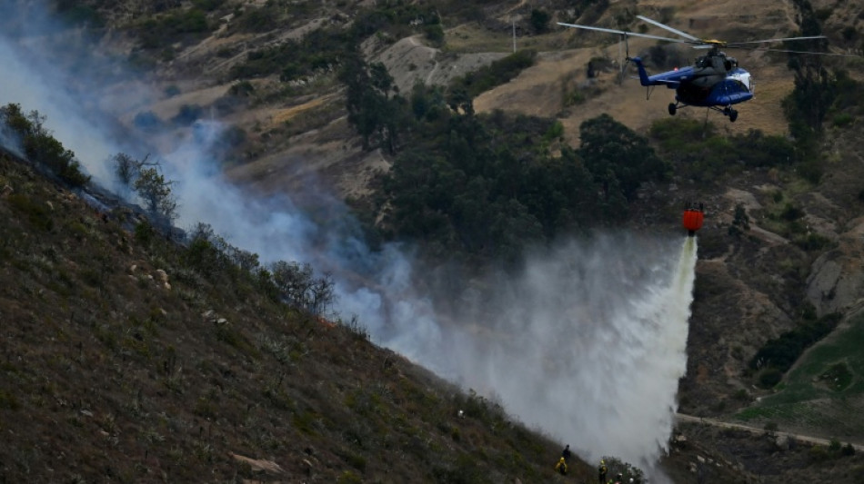  Controlan en un 75% incendio que afecta una joya tur&iacute;stica en Colombia 