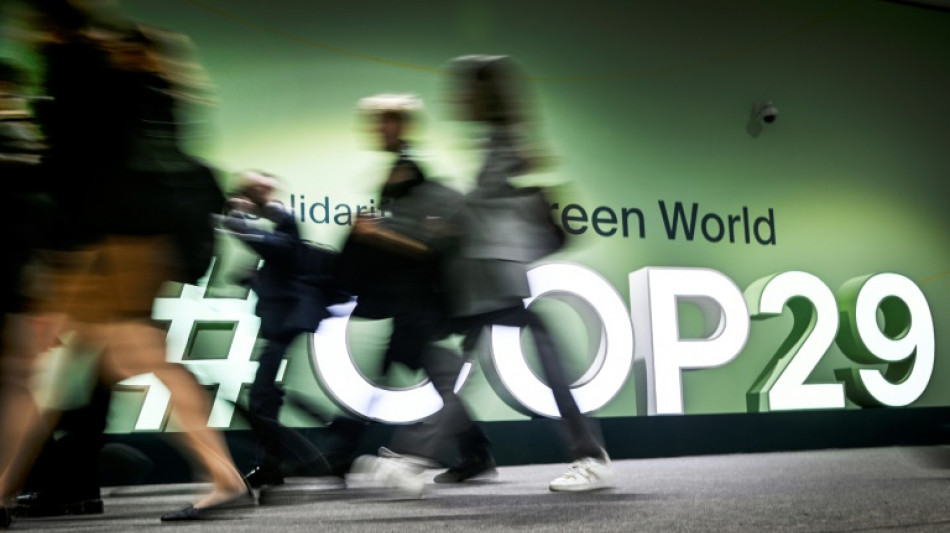 Trumps Wahlsieg &uuml;berschattet Start der UN-Klimakonferenz COP29 in Aserbaidschan