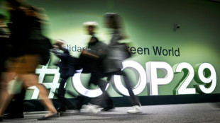 Trumps Wahlsieg &uuml;berschattet Start der UN-Klimakonferenz COP29 in Aserbaidschan