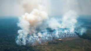 Capital colombiana en "alerta ambiental" por incendio en Amazonía del tamaño de París