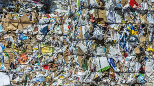 Vola la raccolta carta-cartone, 7 volte superiore a 30 anni fa