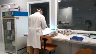 Pronto il bioreattore che riproduce i tumori in laboratorio