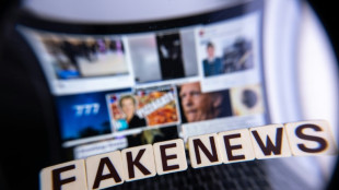 Moscou et Pékin ont recours à un "arsenal numérique massif" pour manipuler les démocraties, selon l'UE