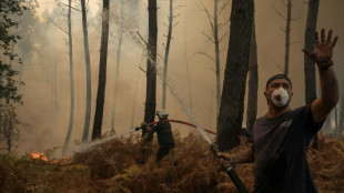 'Beginning of the end': Relief but no party as French wildfire winds down