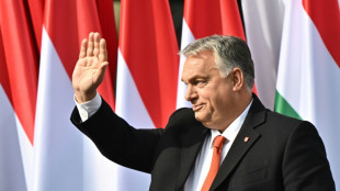 Ungarn verschiebt Ratifizierung des Nato-Beitritts Schwedens und Finnlands auf 2023