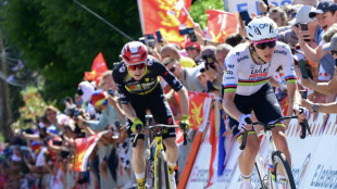 Pogacar fliegt zurück in Gelb - Lipowitz glänzt als Dritter