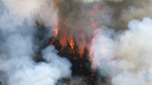 Spain calls wildfires one of its worst disasters in years