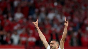 Bild: Demiral nach Wolfsgru&szlig;-Eklat f&uuml;r zwei EM-Spiele gesperrt